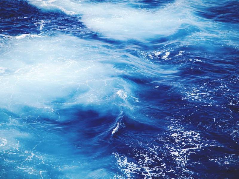 sudoku family game screenshot 4